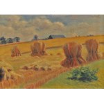 Mateusz Ludwik HAJDUKIEWICZ (1886–1946), Sheaves in the Field