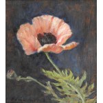 Maria KOŹNIEWSKA (1875–1968), Poppy