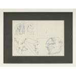 Franciszek STAROWIEYSKI (1930–2009), "The Face Mechanism"