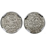 Poland, half-grosz, 1549, Vilnius