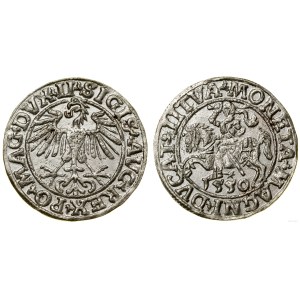 Polska, półgrosz, 1550, Wilno