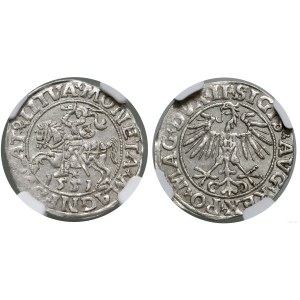 Polska, półgrosz, 1551, Wilno