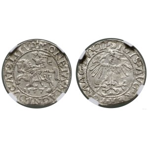 Pologne, demi-grosz, 1557, Vilnius