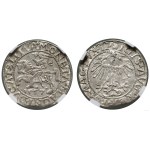 Poland, half-grosz, 1557, Vilnius