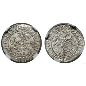 Polska, półgrosz, 1558, Wilno