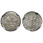 Poland, half-grosz, 1558, Vilnius