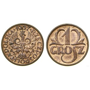 Poland, 1 grosz, 1937, Warsaw