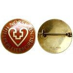 Norway, pin from the Norwegian Association of Social Workers