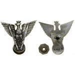 Poland, Independent Carpathian Rifle Brigade - commemorative badge (COPY)