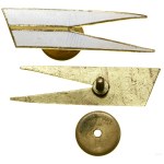 Poland, 24th Uhlan Regiment - pennant