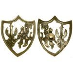 Poland, patriotic badge