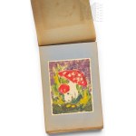 PRL - Album of Artistic Drawings, Illustrations of Plants and Landscapes, Dedication, 1955