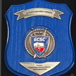 IIIRP - Commemorative Plaque in a Box, As a Token of Respect and Appreciation, Expert Cybersecurity Training Center (ECSC)