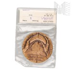 Commemorative Medal of St. Brother Albert Chmielowski, Father of the Poor, 1845–1915, “One Should Be as Good as Bread”