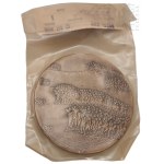 Solidarity 10th Anniversary Commemorative Medal, 10th Anniversary, 1980–August 1990