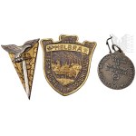 France/Germany - Set of Three Badges, Esalat Aviation Badge (?), 800th Anniversary of the City of Helbra, Nostradamus Medal