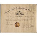 USA/United States - Document: License to Practice Medicine and Surgery in the State of New Jersey Based on a Degree Received in the State of New York, 190(?)