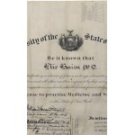 USA/United States - Parchment Diploma from the University of New York, License to Practice Medicine and Surgery, New York, 1905