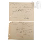 The Second Polish Republic - A Collection of Official Documents by Włodzimierz Downar.