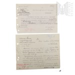 The Second Polish Republic - A Collection of Official Documents by Włodzimierz Downar.