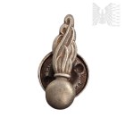 PSZnZ - COPY - Military Police Collar Badge