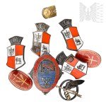 IIRP/PSZnZ - Set of REPLICAS of Badges and Pins - 300th Bomber Squadron, 309th Fighter Squadron, U.S. Volunteers to the Legions Badge “Across the Ocean to the Legions 1914–1918,” Faustinum Association of the Apostles of Divine Mercy, Knights of the Immacu