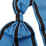 Ribbon of the Grand Cross of the Virtuti Militari