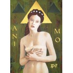 Daniel Porada (ur. 1977), Animo