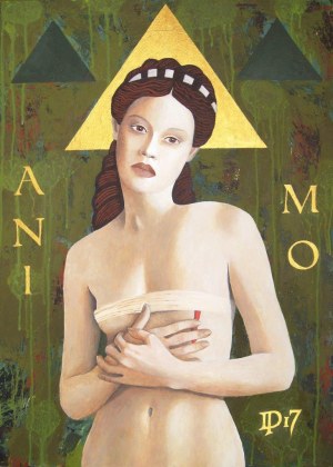 Daniel Porada (ur. 1977), Animo