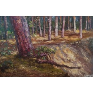 Paweł KOSIOR (ur. 1988), Żołyński las, 2024