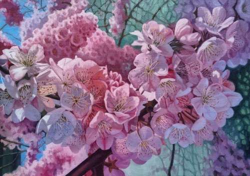Oliwia STELMASZYK (ur. 2000), Sakura, 2026
