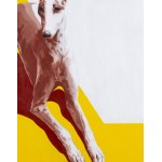 Justyna Orzechowska (geb. 1984 in Zgierz), „In der Sonne“, 2026