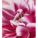 Paulina Leszczyńska (ur. 1974), Pink tulip, 2026