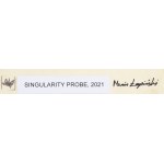 Marcin Łapiński (b. 1982, Warsaw), Singularity Probe, 2021