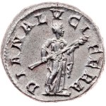 Gordianus III., Denarius 238-244, Rome