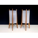 A pair of designer lamps by Pokrok Žilina—1960s