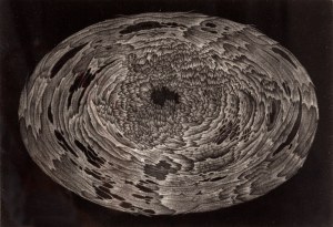 Antoni Kowalski (ur. 1957, Wyszatyce), 