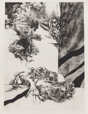 Franciszek Bunsch (ur. 1926), 