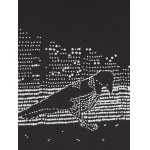 Radosław Zaremba (nato nel 1954 a Varsavia), Un uccello nei Giardini Reali di Łazienki, 2001