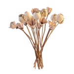 Ceramic Flowers, Magnolias, and Poppy Heads - Bouquet of 20, 2026