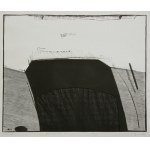 Marek Basiul, Exterior II(1998)
