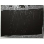 Marek Basiul, Exterior III(2003)
