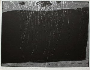 Marek Basiul, Exterior III(2003)