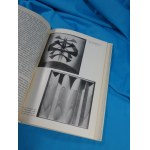 Bożena Kowalska: THE POLISH AVANT-GARDE IN PAINTING: Opportunities and Myths, 1945–1980