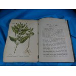 Flora of Germany, Vol. 20: Plantagineae, Ericeae, Phytolacceae, Euphorbiaceae (Schlechtendal, Langethal, Schenk)