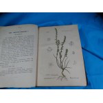 Flora of Germany, Vol. 20: Plantagineae, Ericeae, Phytolacceae, Euphorbiaceae (Schlechtendal, Langethal, Schenk)