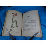 Flora of Germany, Vol. 20: Plantagineae, Ericeae, Phytolacceae, Euphorbiaceae (Schlechtendal, Langethal, Schenk)