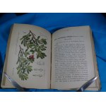 Flora of Germany, Vol. 20: Plantagineae, Ericeae, Phytolacceae, Euphorbiaceae (Schlechtendal, Langethal, Schenk)