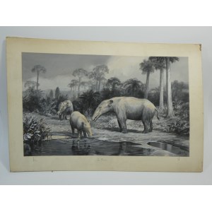 Adam Werka - Prehistoric Animals II