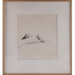 Lionel Bayol-Thémines (b. 1968), Reclining Nude, 1997